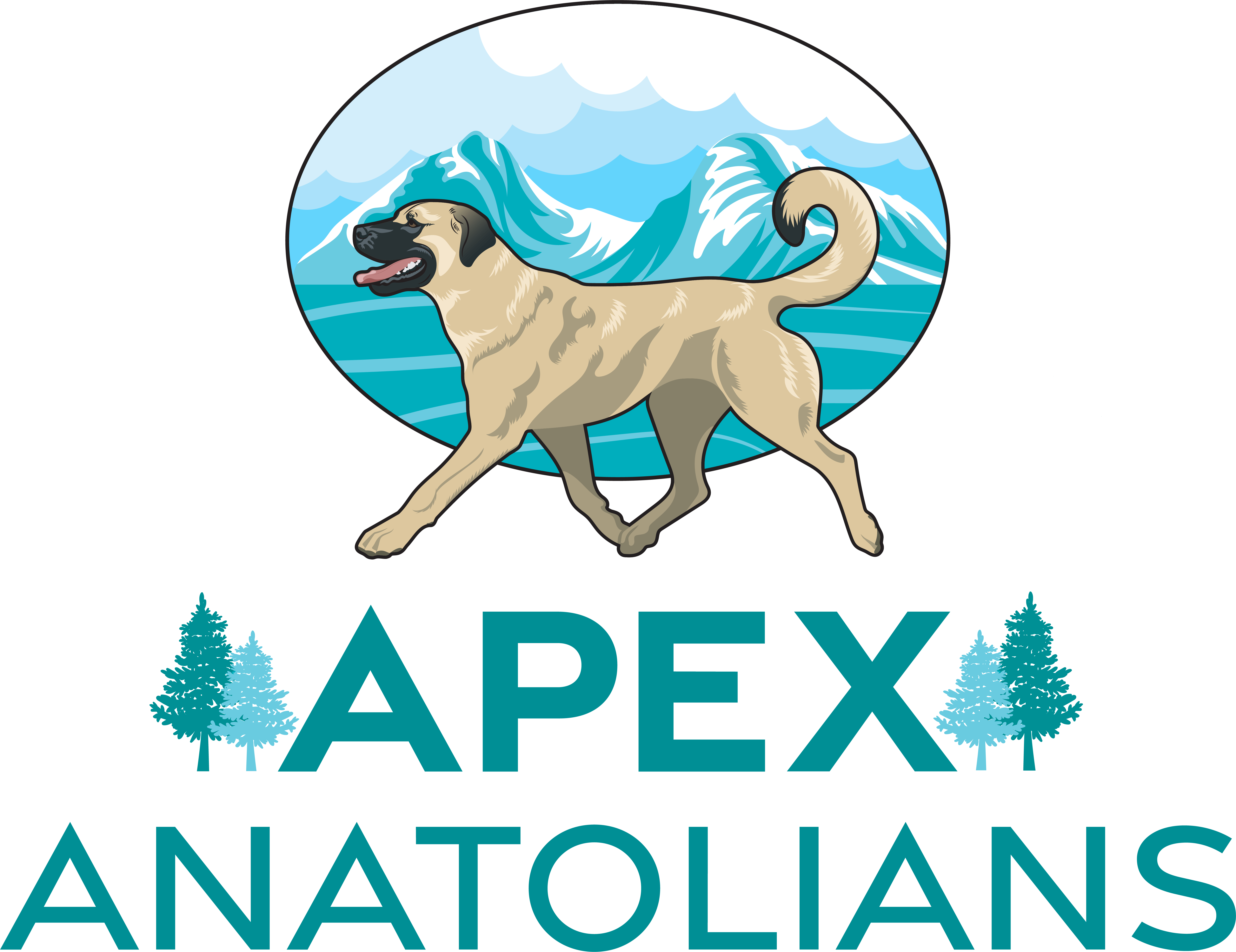 Apex Anatolians – AKC Anatolian Shepherd Dogs