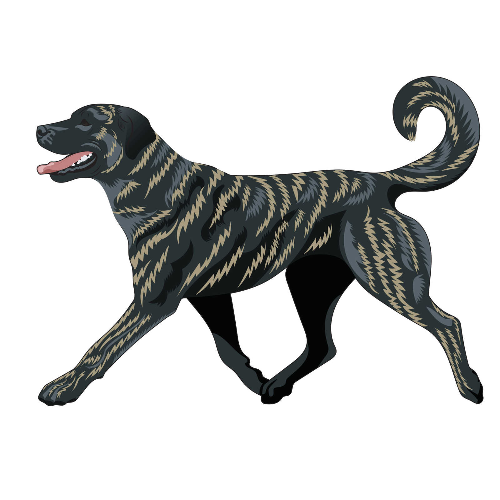 Brindle Anatolian Shepherds Apex Anatolians AKC Anatolian Shepherd Dogs