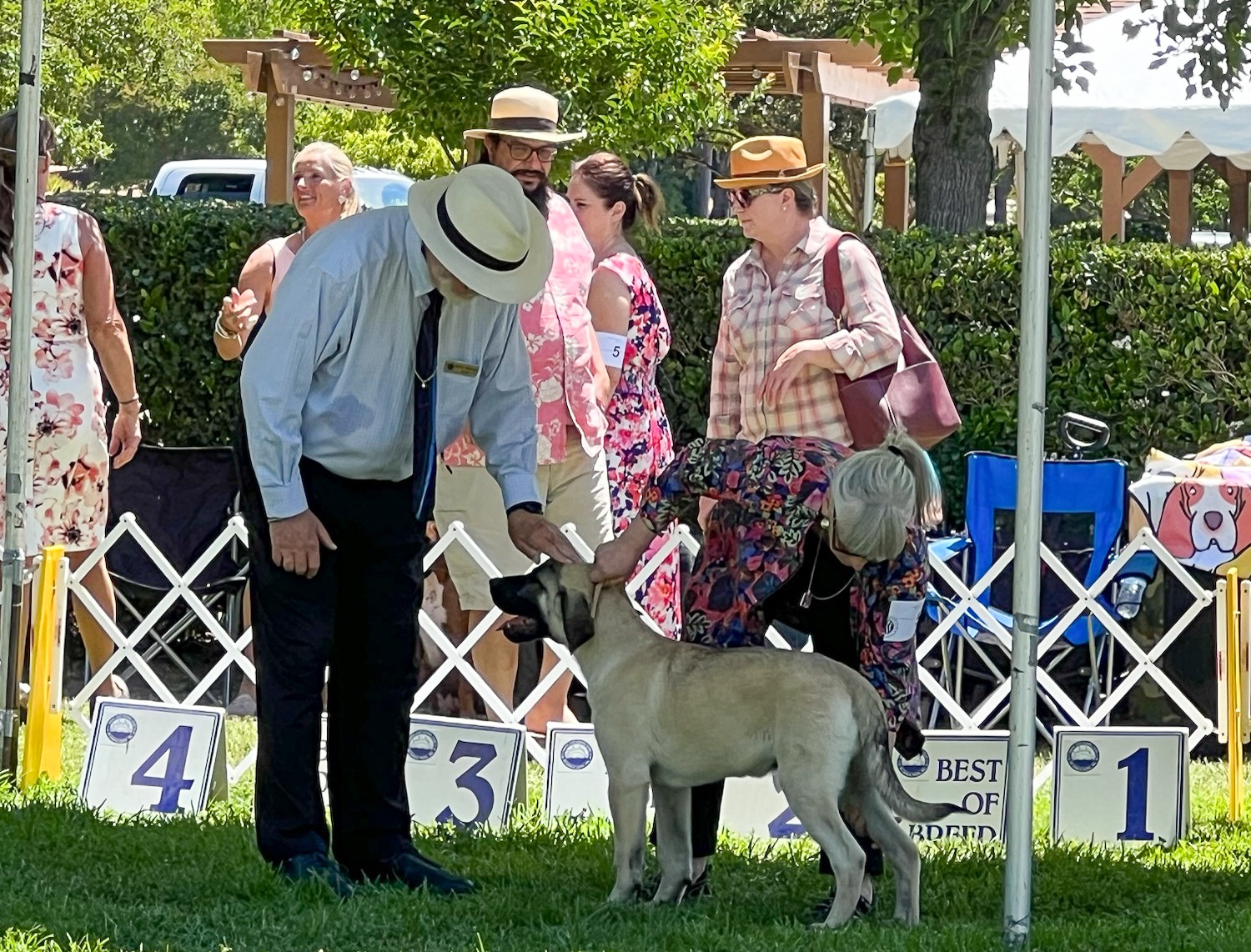 Shams and Janet in the BPUP ring, June 2024