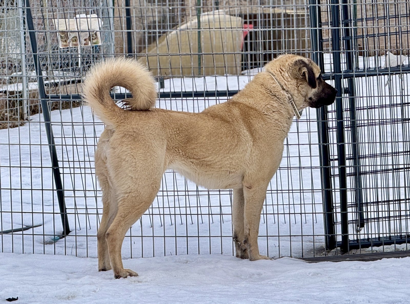 smallMedium