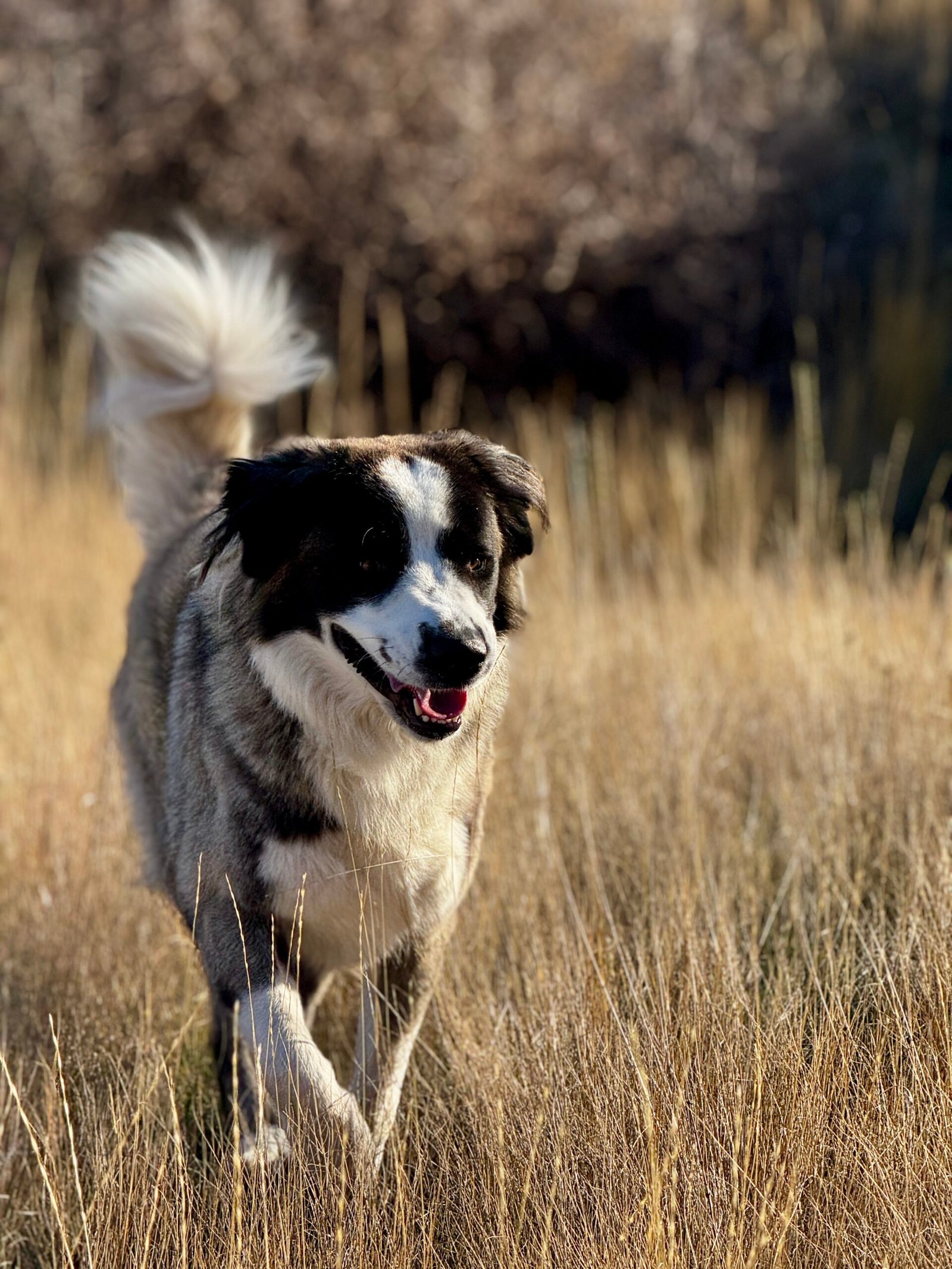 A9B5E879-1115-4A66-A069-8602527BFD2A